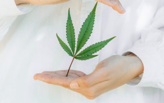 medical cannabis dispensary