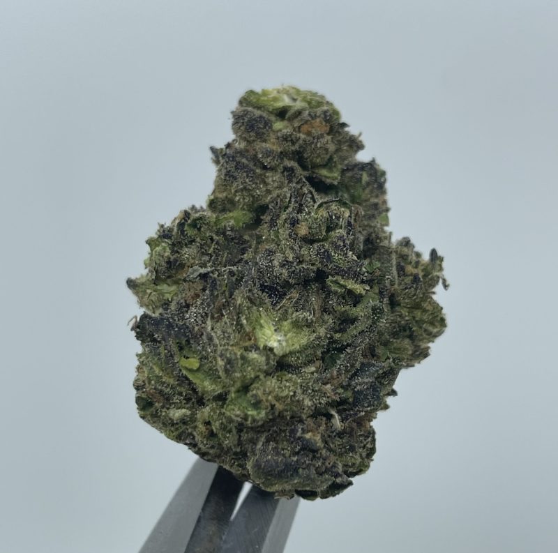 TopShelf Weed Flower in Miami KushMia